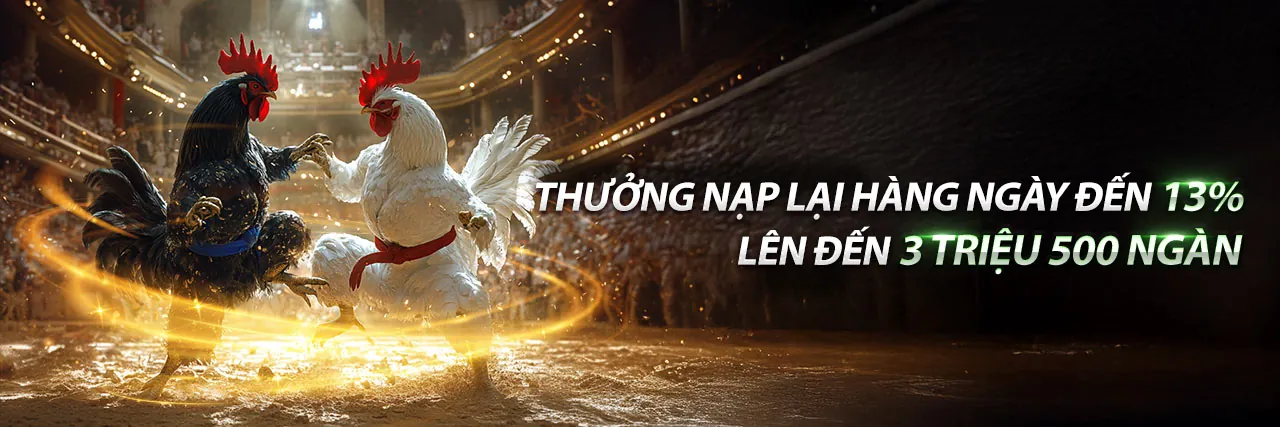 Đá Gà Trực Tuyến Hấp Dẫn tại CAT368